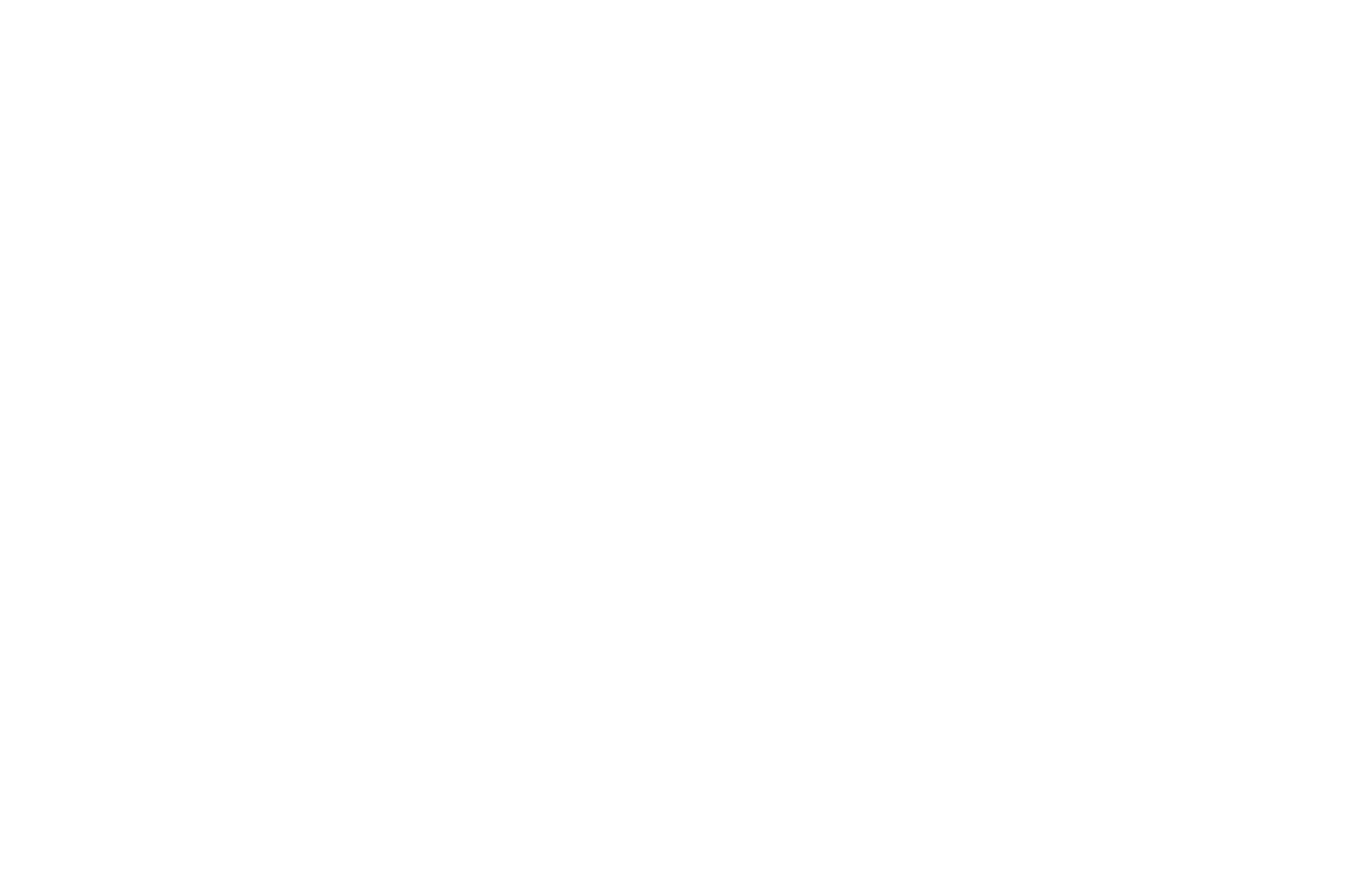 Unga Feminister
